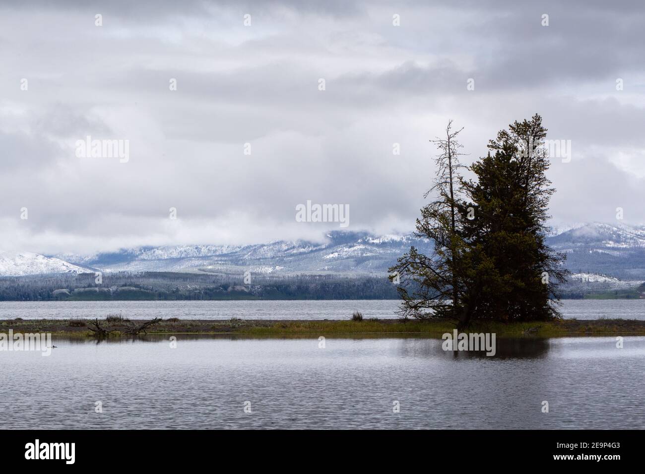 A late winter storm breaking up over Gull Point on Yellowstone Lake. Yellowstone National Park, Wyoming Stock Photo