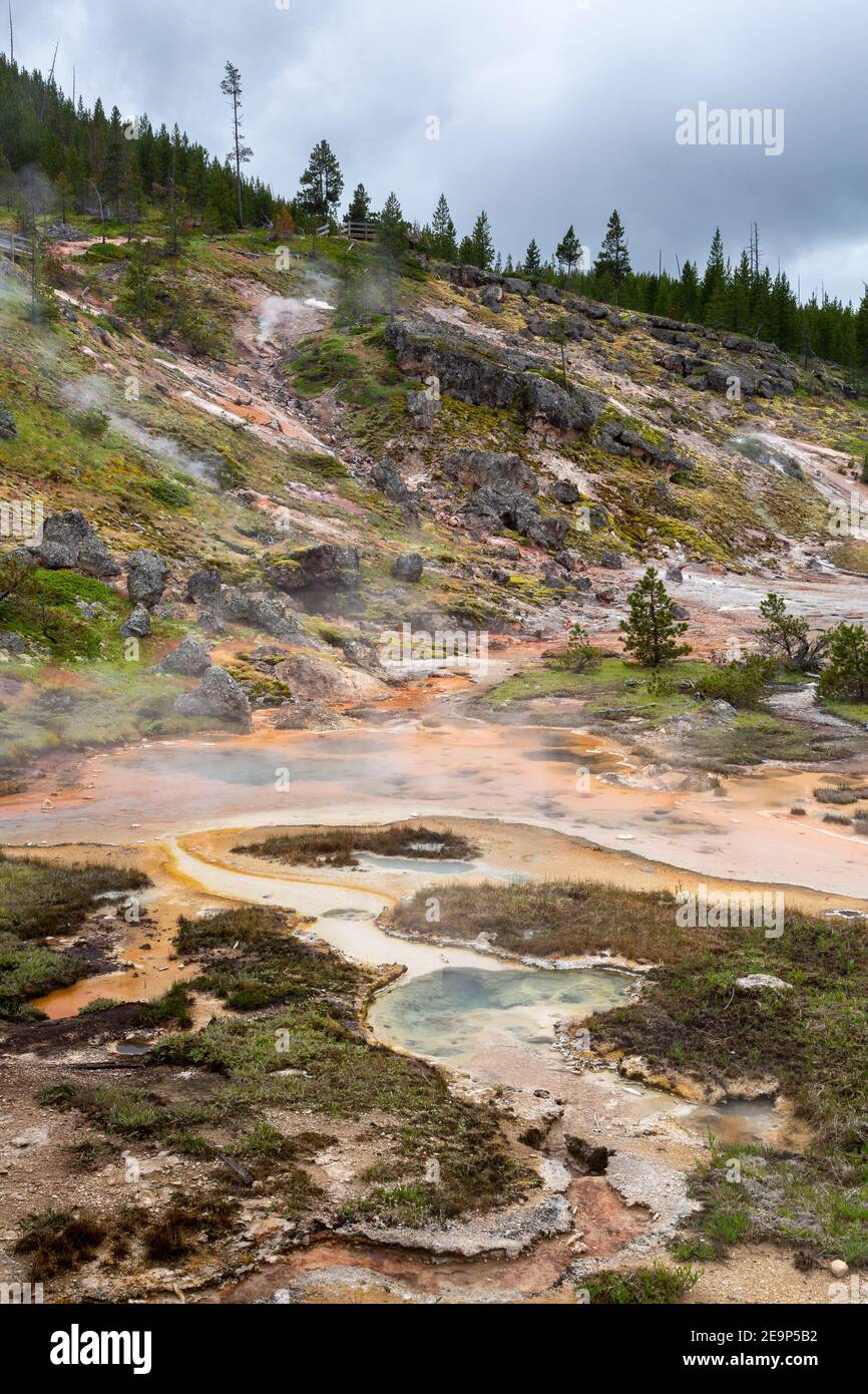 Thermal features lining the hillside in the Artist Paint Pots area. Yellowstone National Park, Wyoming Stock Photo
