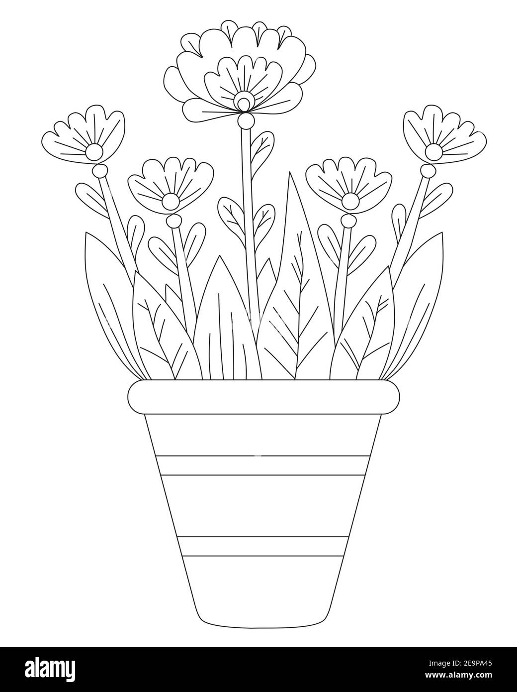 Spring flowers in a pot. Vector drawing. Black line, outline. White  background. Decorative houseplant in a flowerpot for print, decor and  design, prin Stock Vector Image & Art - Alamy