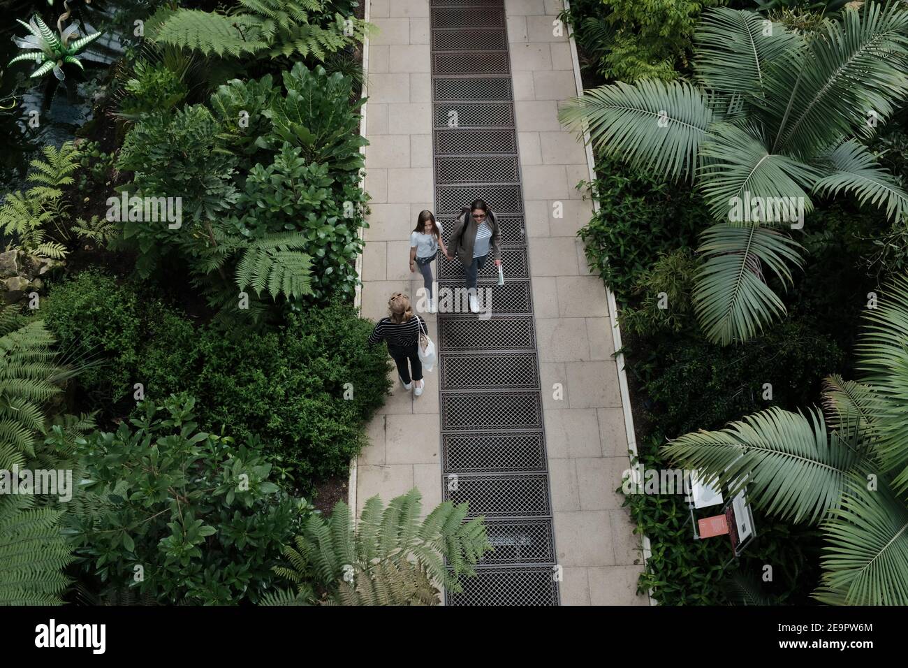LONDON - 2019: Interior of the Temperate House at Kew Royal Botanic Gardens in London. A mother and her daughter walk through the garden holding hands Stock Photo