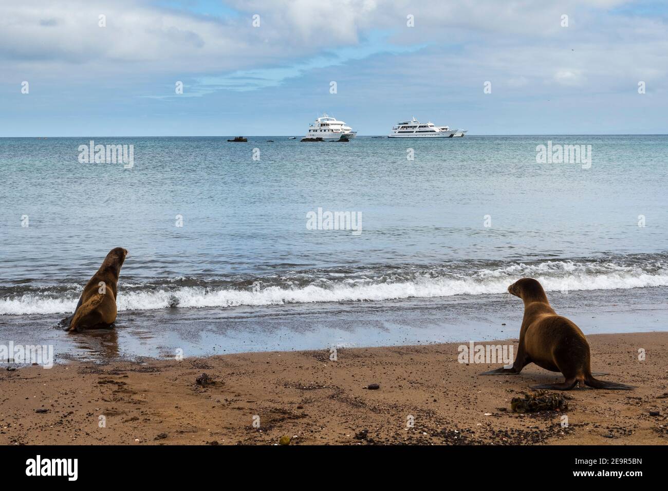 National park of the galapagos hi-res stock photography and images - Alamy