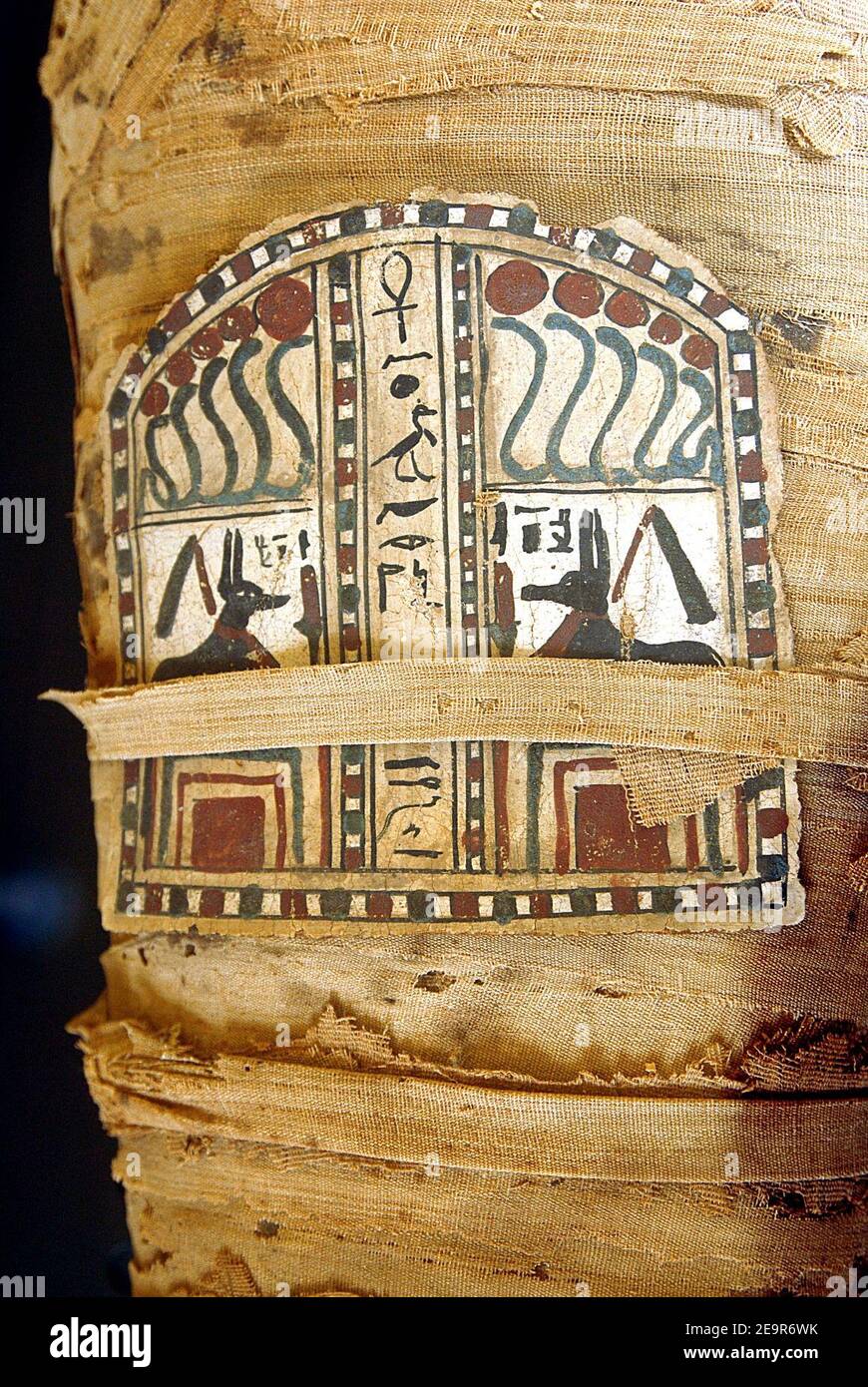 Nesi hi-res stock photography and images - Alamy