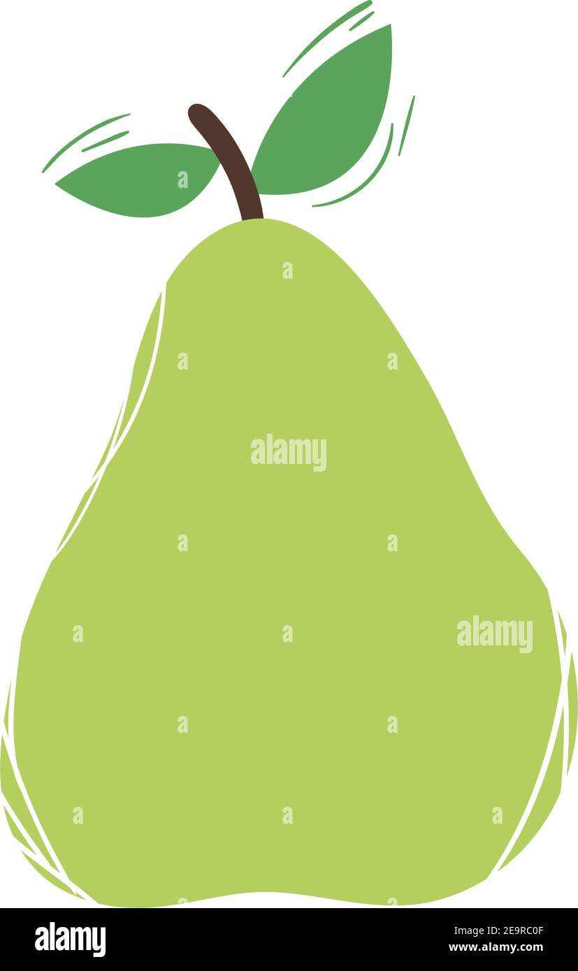pear fruit design of healthy organic food theme Vector illustration ...