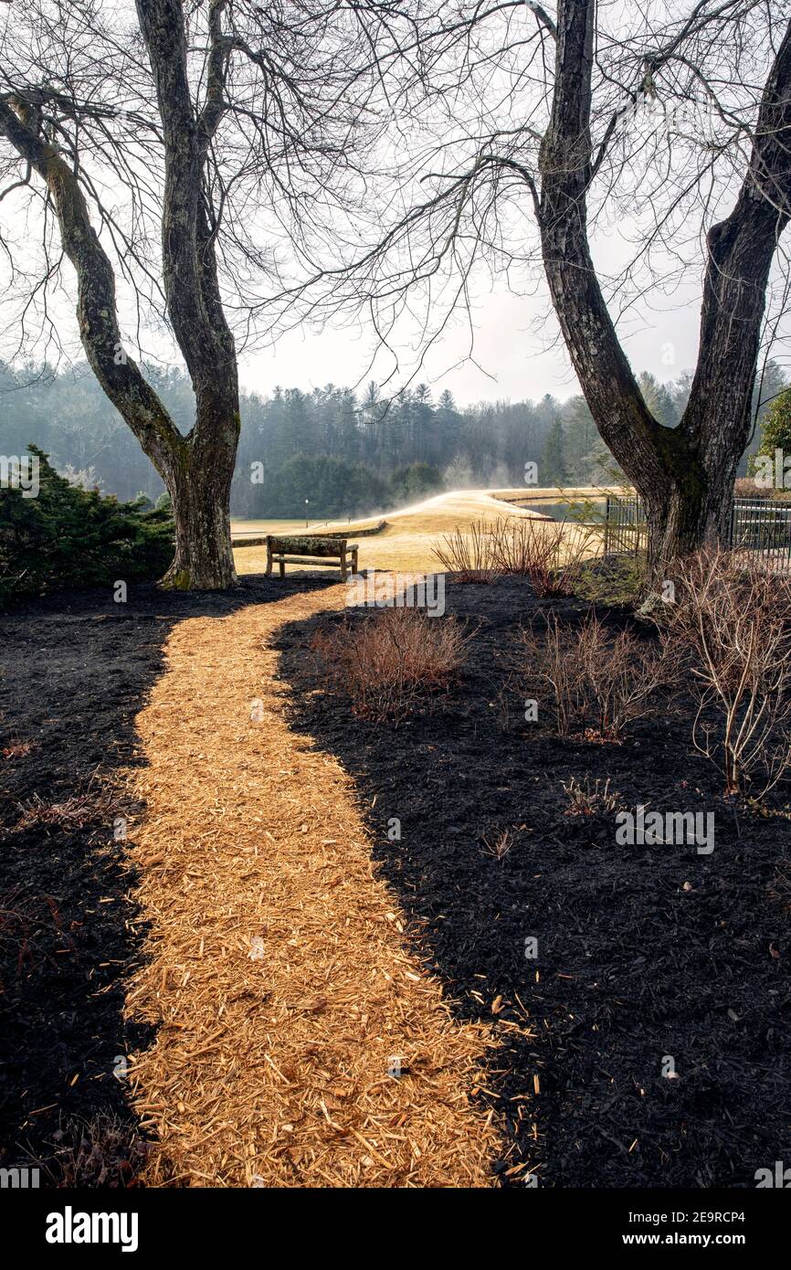 Foggy morning landscape in Brevard, North Carolina, USA Stock Photo Alamy