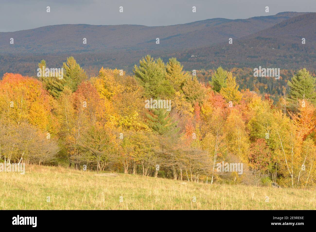 Vermont Fall Foliage, Mount Mansfield in the background, Vermont VT, USA. Stock Photo