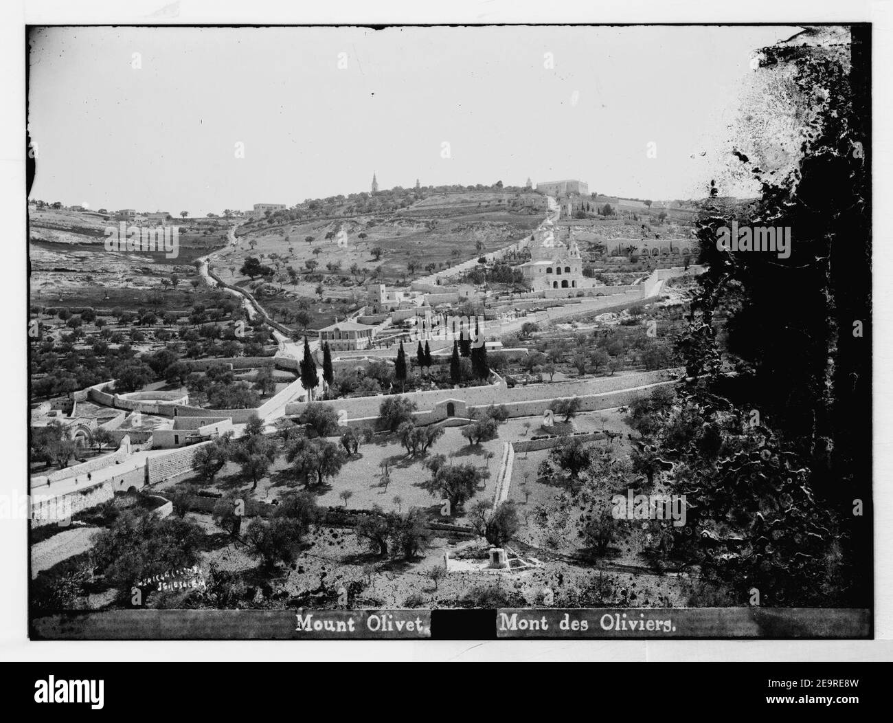 Mount of Olives (Jebel EtTur) etc. Mount of Olives from the west Stock Photo Alamy