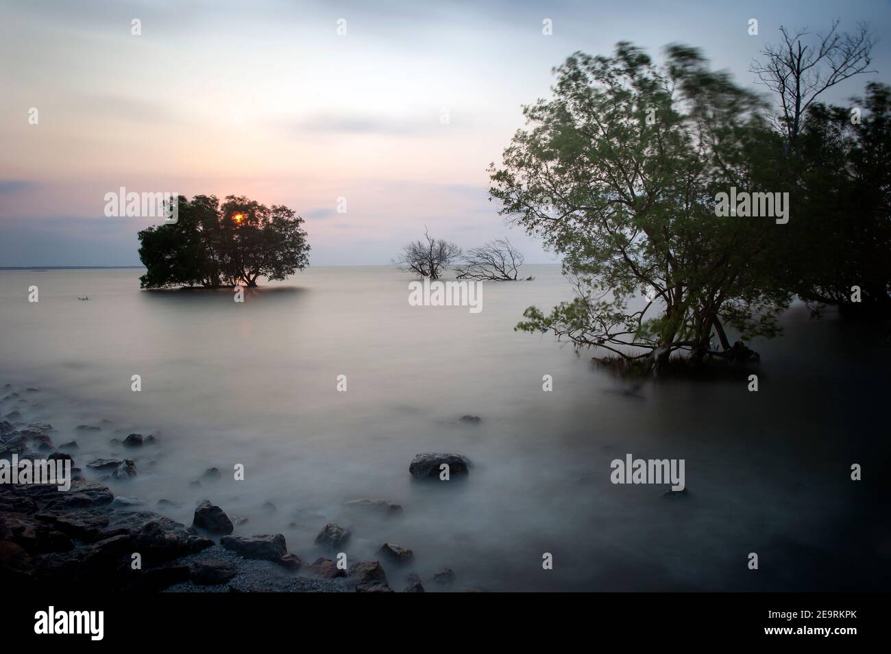 Beautiful trees water photos hi-res stock photography and images - Alamy