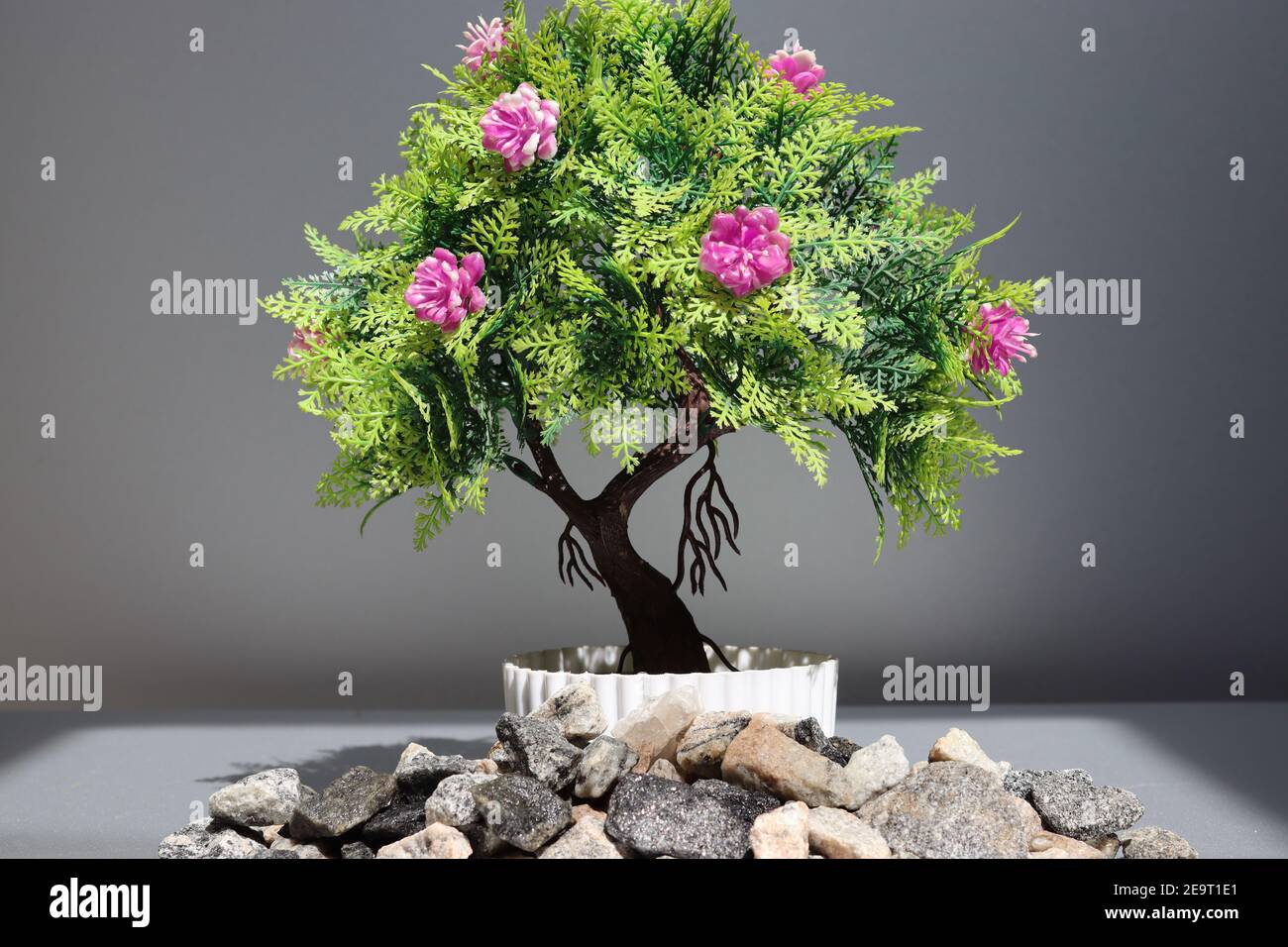 Tiny artificial tree in various action. Stock Photo