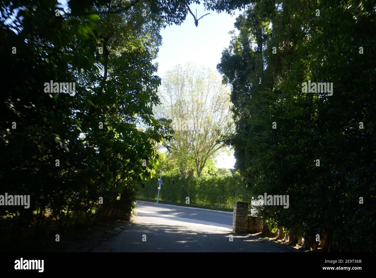 Page 7 Elizabeth Montgomery Elizabeth Montgomery Elizabeth High Resolution Stock Photography And Images Alamy