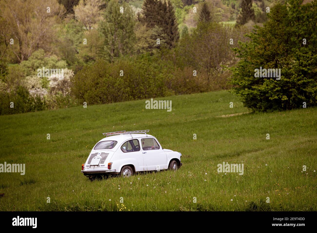 An old white car in the middle of a green unmown meadow Stock Photo
