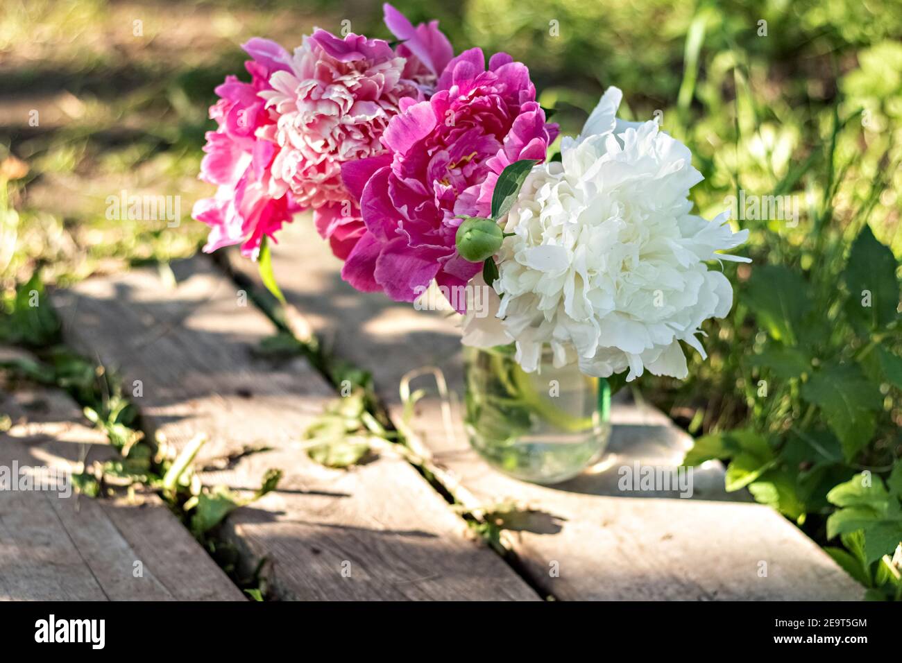 A bouquet of large white and pink peonies in a glass jar on a wooden ...