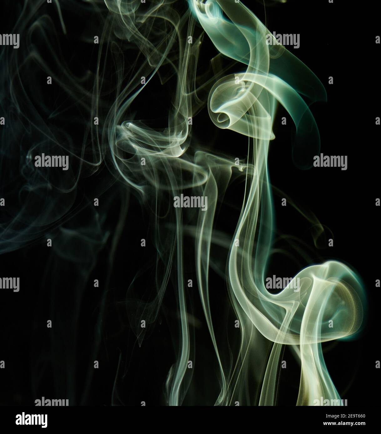 Abstract smoke swirls green color on black background. Elegant colorful