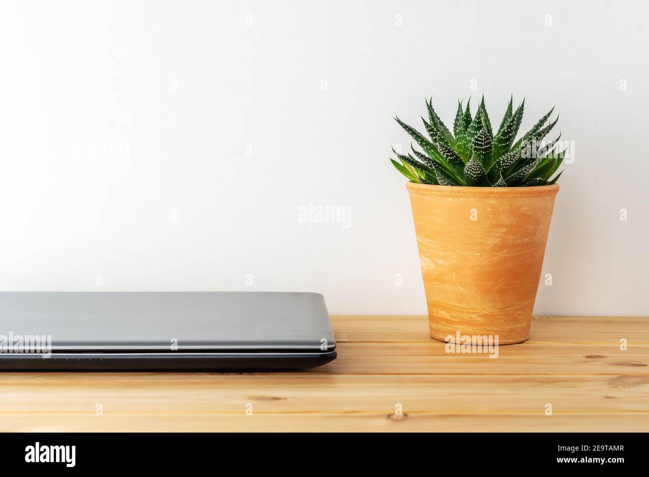 Laptop on a wooden table with a cactus plant. Home office concept. Stock Photo