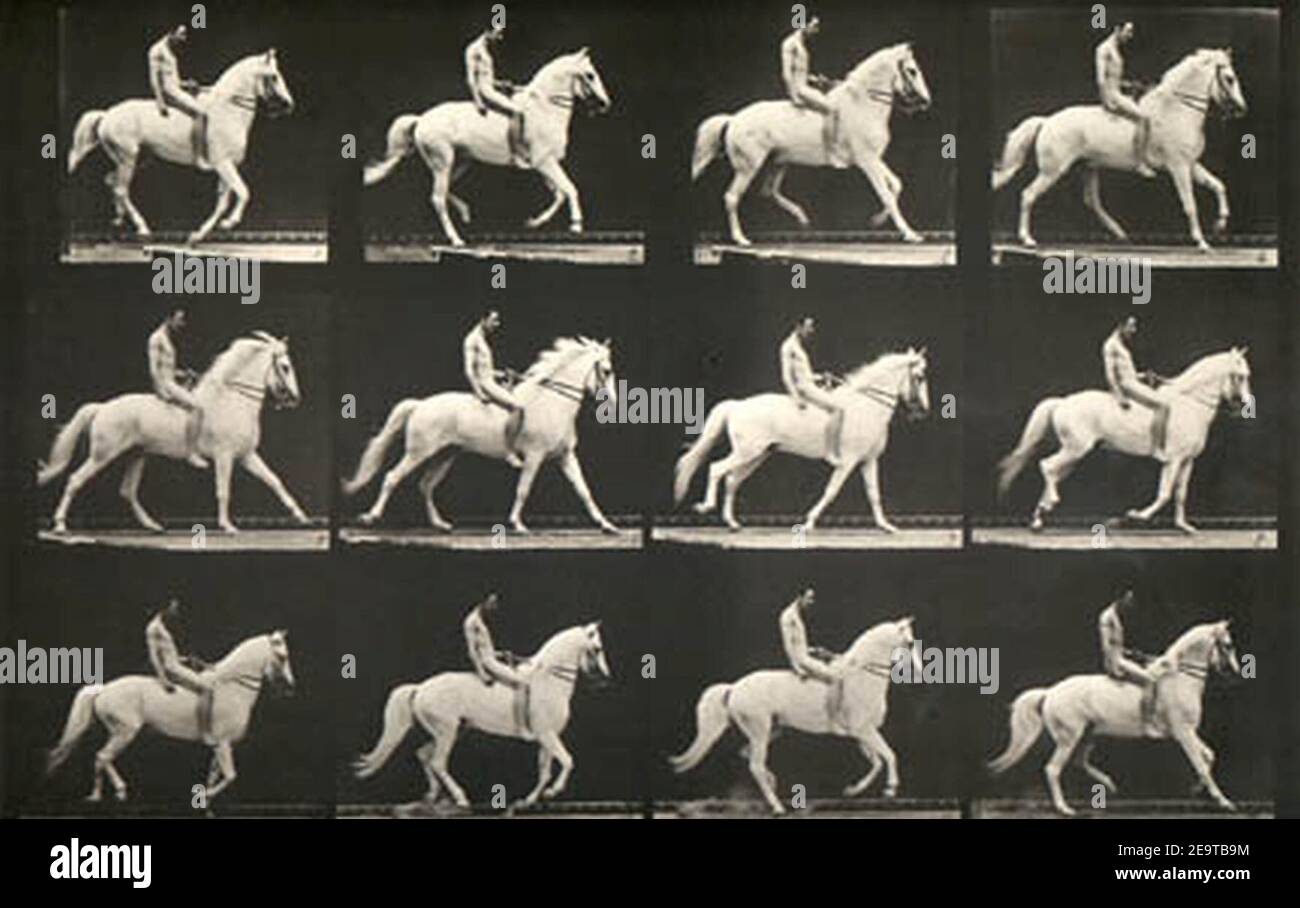 Homem e cavalo pulando, de &39;Animals in Motion&39; por Muybridge