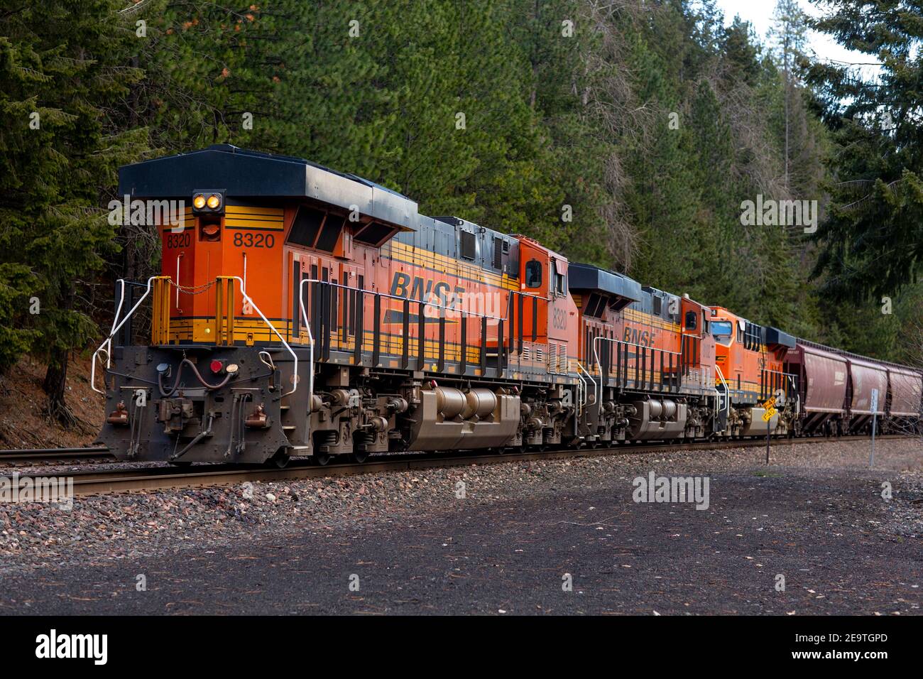 Three trailing push locomotives of a BNSF covered hopper freight train coming down the tracks in the town of Troy, Montana.   Burlington Northern and Stock Photo