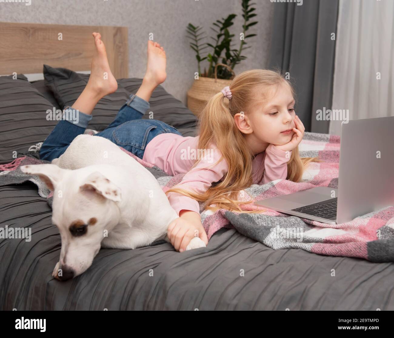 Page 3 - Girl Teen Dog Sitting On High Resolution Stock Photography and  Images - Alamy