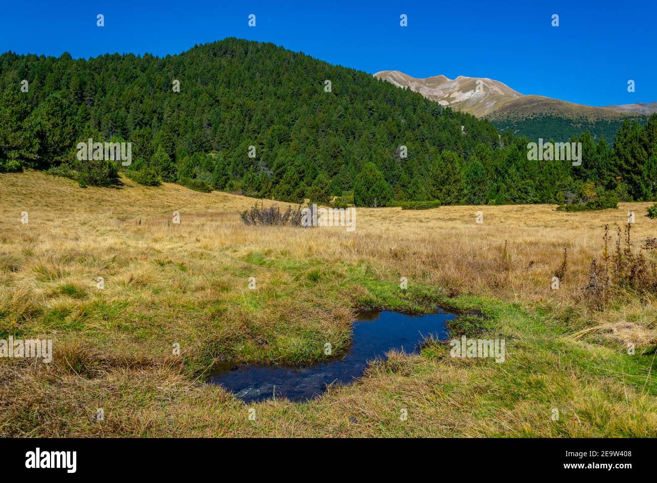 Forests and meadows of Andorra Stock Photo - Alamy