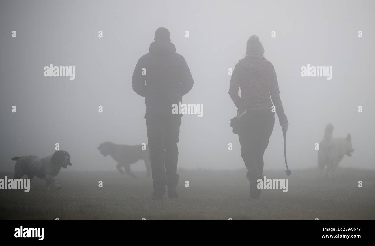 Old basing common hi-res stock photography and images - Alamy