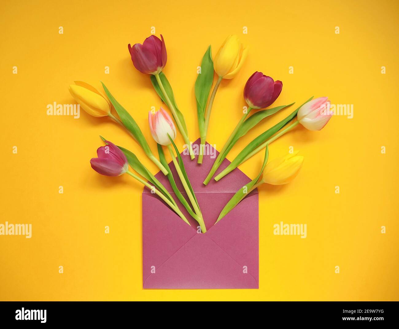 Bouquet of multicolored tulips. Bright spring background. Stock Photo