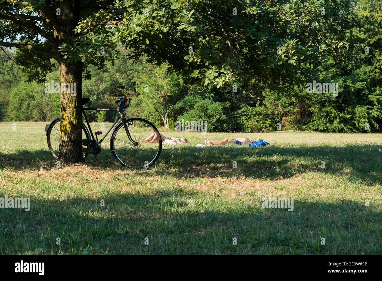 Couple sunbathing in a park during a summers afternoon, Piacenza, Italy Stock Photo