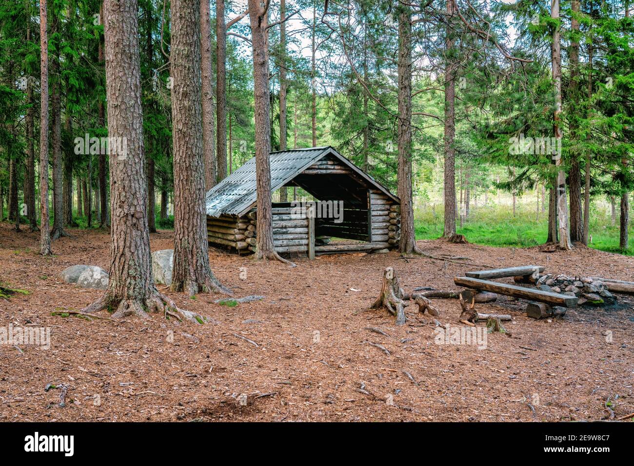 Wooden tourist shelter with fire place in pine tree forest, cloudy