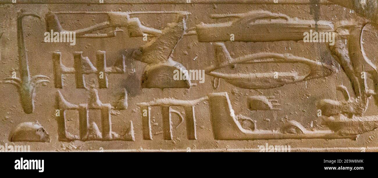 Egypt, Abydos, strange hieroglyphs, called 'Abydos helicopter', sometimes (wrongly) seen as a proof that aliens met Ancient Egyptians. Stock Photo