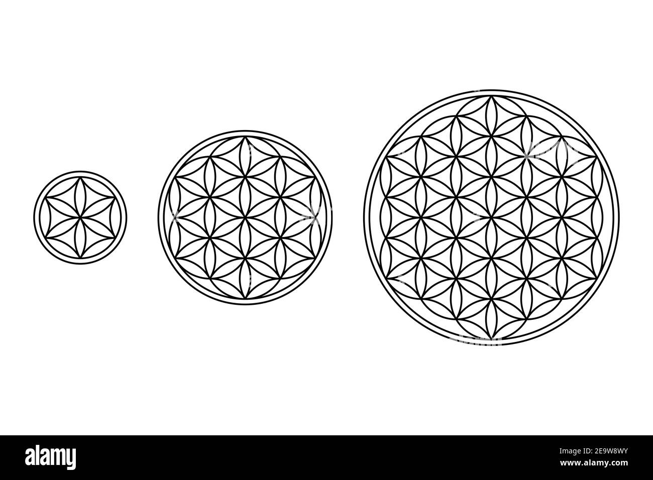 Flower of Life, Core and Seed of Life. Geometric figures and spiritual symbols of Sacred Geometry. Overlapping circles forming flower like patterns. Stock Photo
