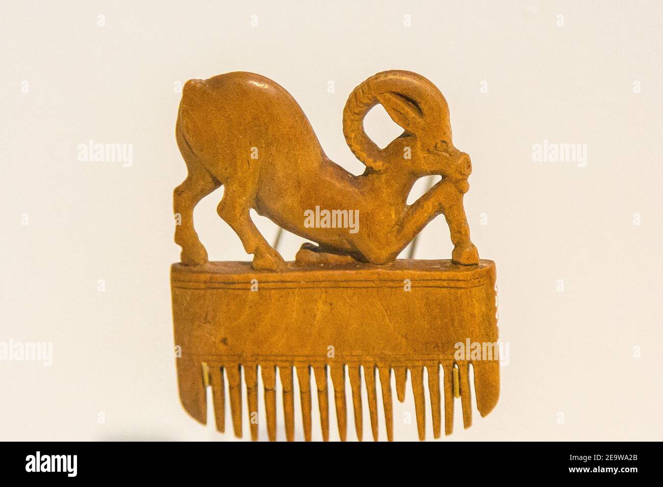 Exhibition 'The animal kingdom in Ancient Egypt', organized in 2015 by the Louvre Museum and displayed in Lens, Madrid and Barcelona. Comb. Stock Photo