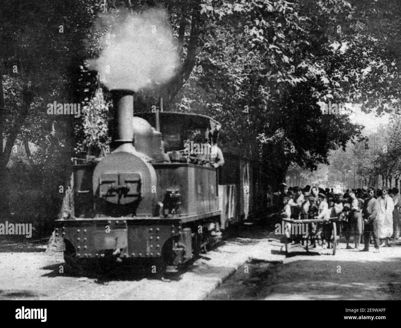 Narrow Gauge Train Arriving (44803200584) (cropped). Stock Photo