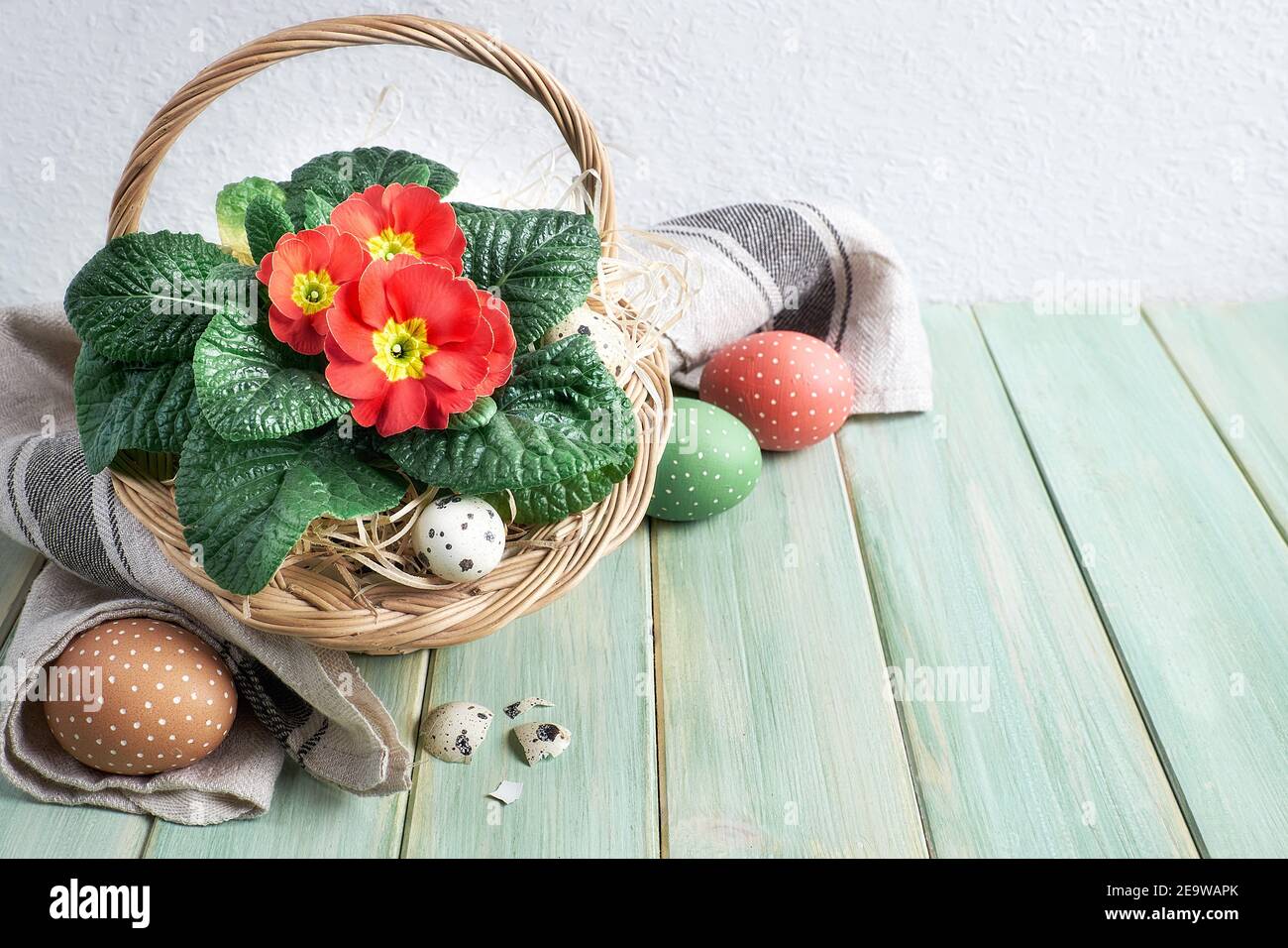 Easter Basket With Quail Egg And Red Primrose Pot Flowers Painted Easter Eggs In Linen Tower On Light Mint Green Rustic Wooden Table Springtime East Stock Photo Alamy