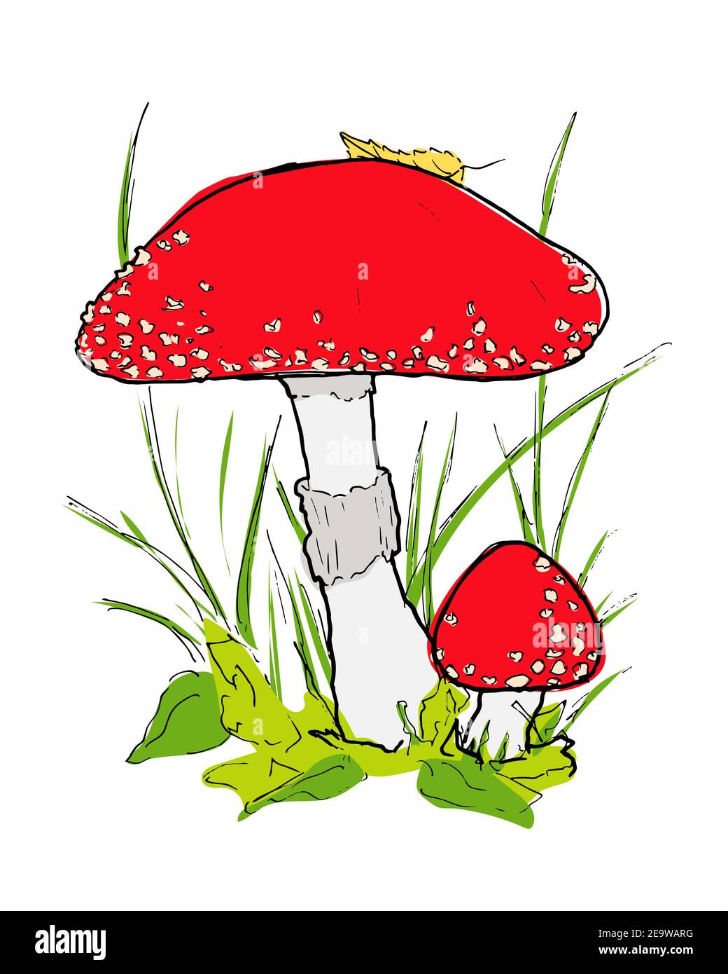 Red amanita mushroom illustration in the grass Stock Vector