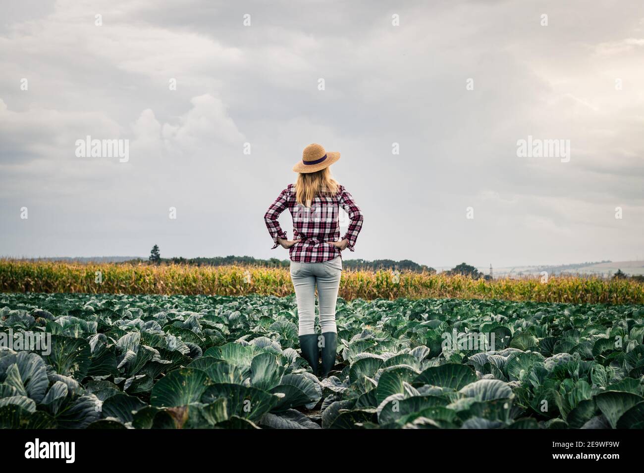 Proud woman farmer looking at her organic farm with growing cabbage at field. Agronomist inspecting vegetable before harvesting Stock Photo