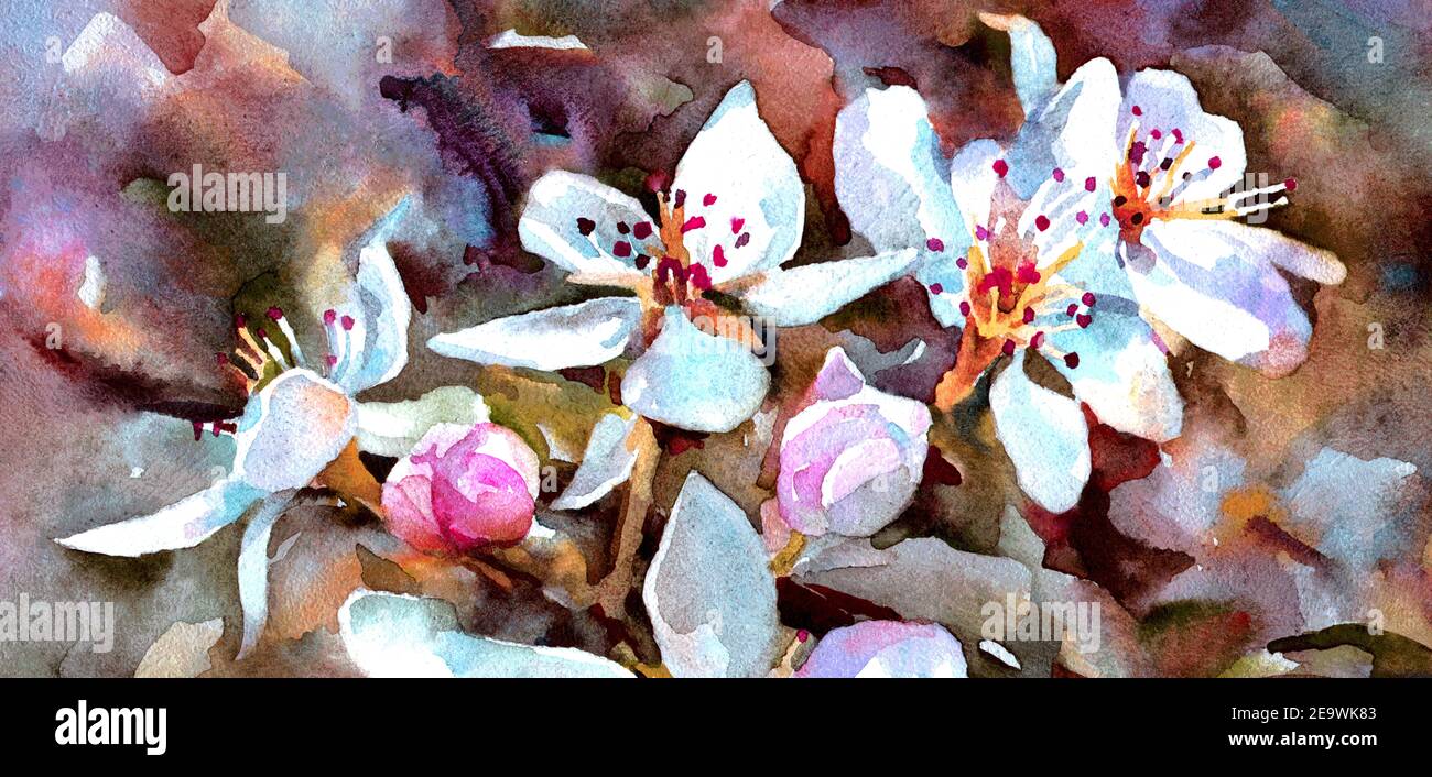 Bright flowers  on the branch of an apple tree. The spring bloom. Macro. Watercolor painting. Horizontal orientation. Stock Photo