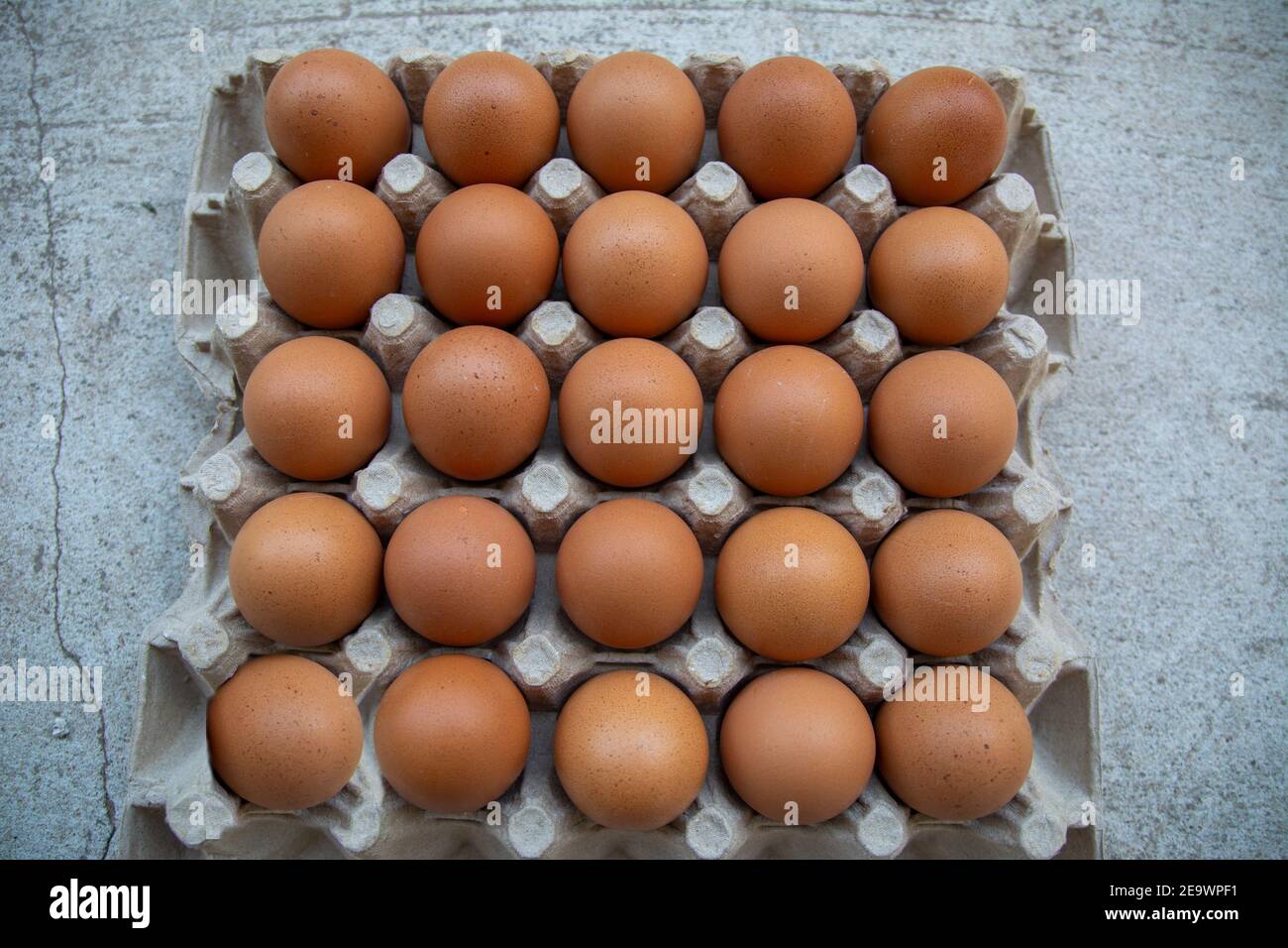 Eggs group, Chicken eggs in carton box Stock Photo
