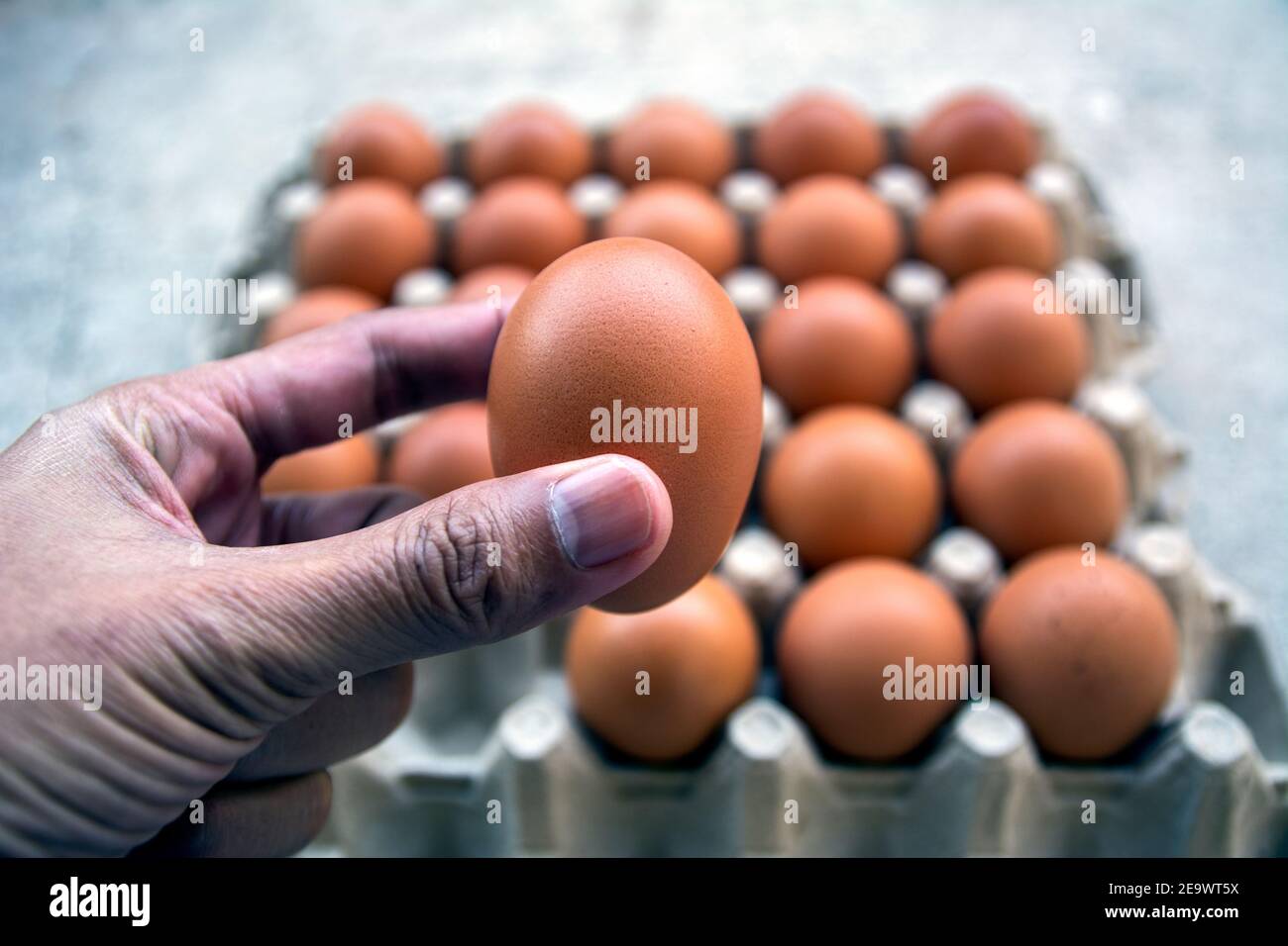 Eggs group, Chicken eggs in carton box Stock Photo