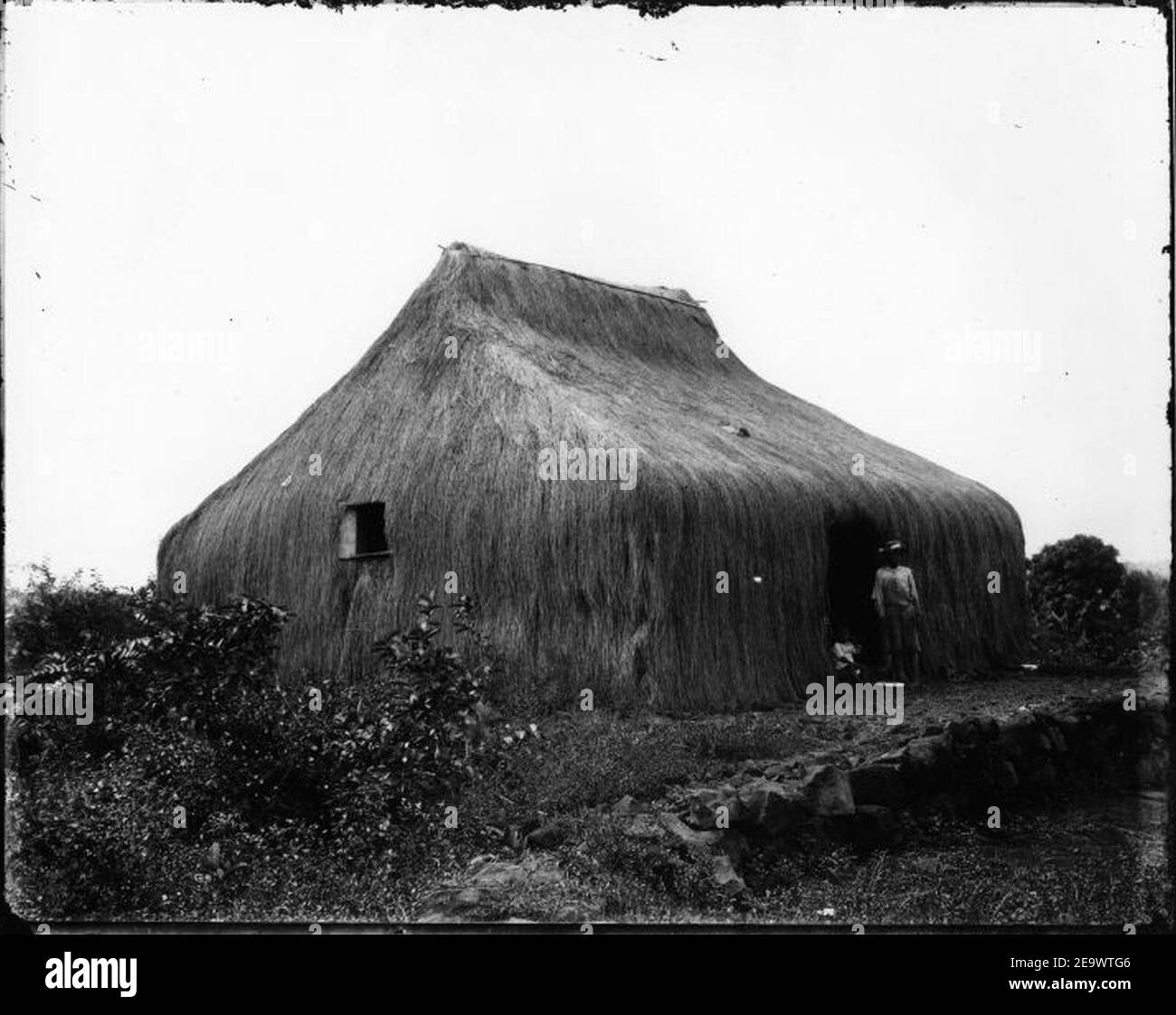 native-grass-house-07-stock-photo-alamy