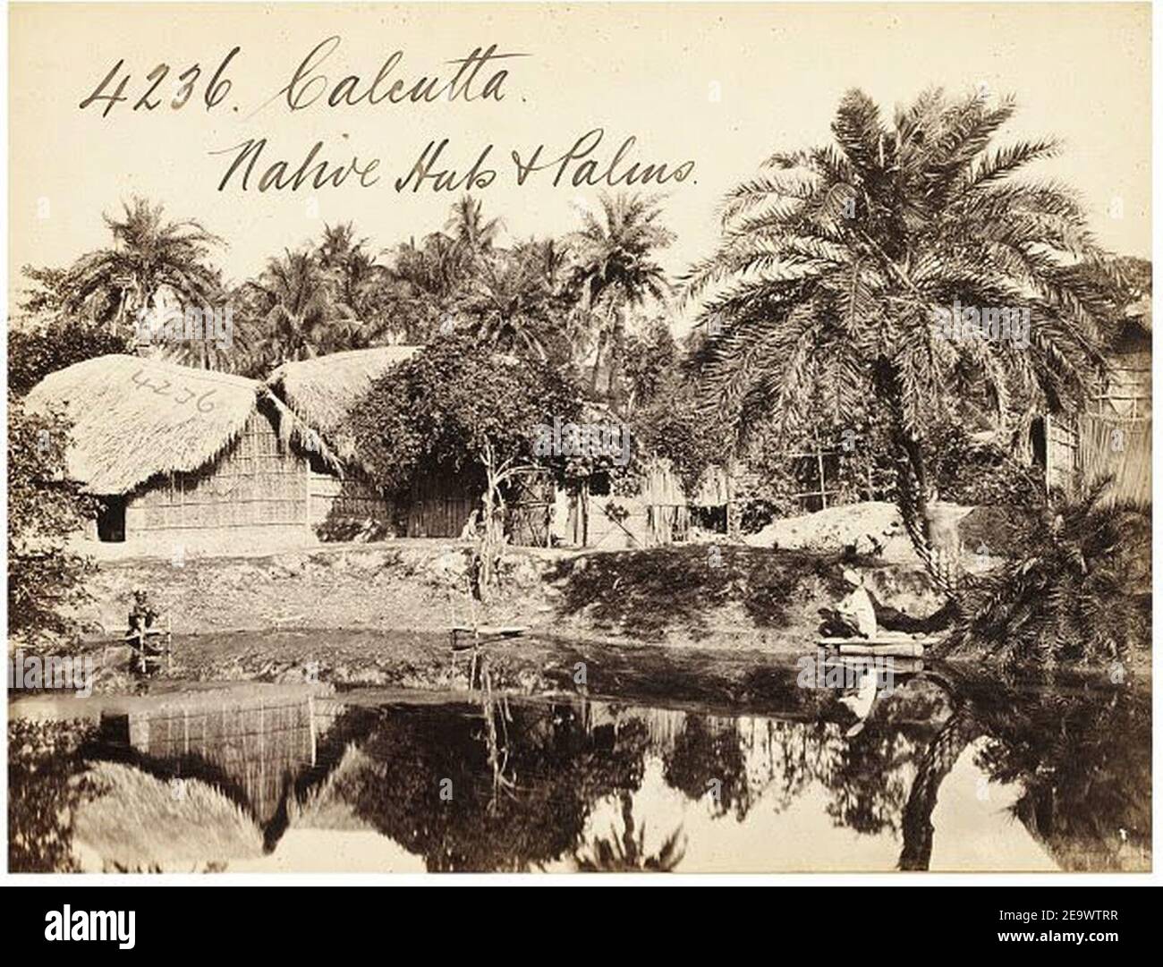 Native huts and palms in Calcutta by Francis Frith. Stock Photo