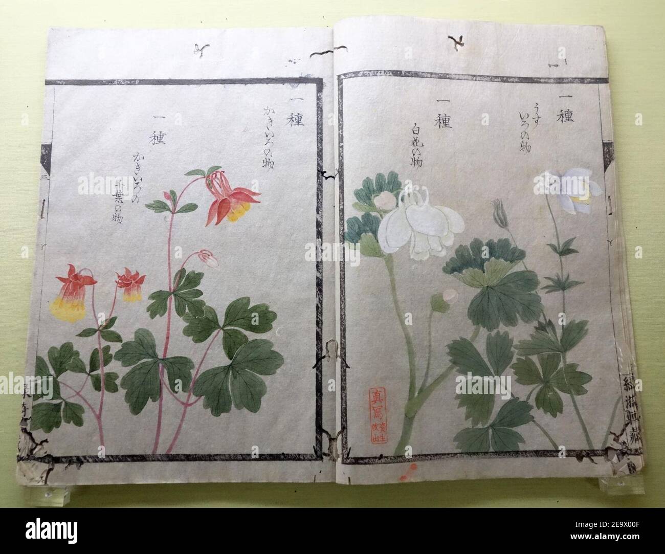 Daisuke hi-res stock photography and images - Alamy