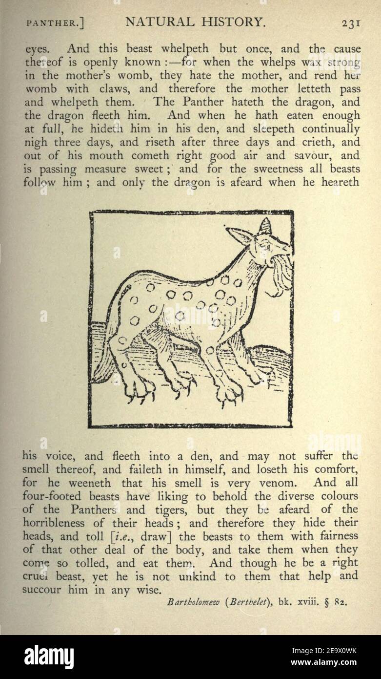 Page231