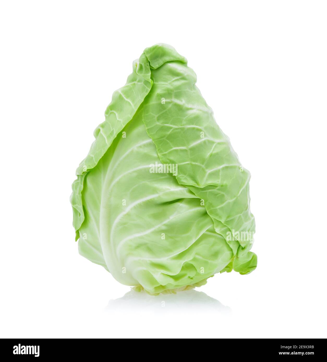 pointed cabbage isolated on white background Stock Photo