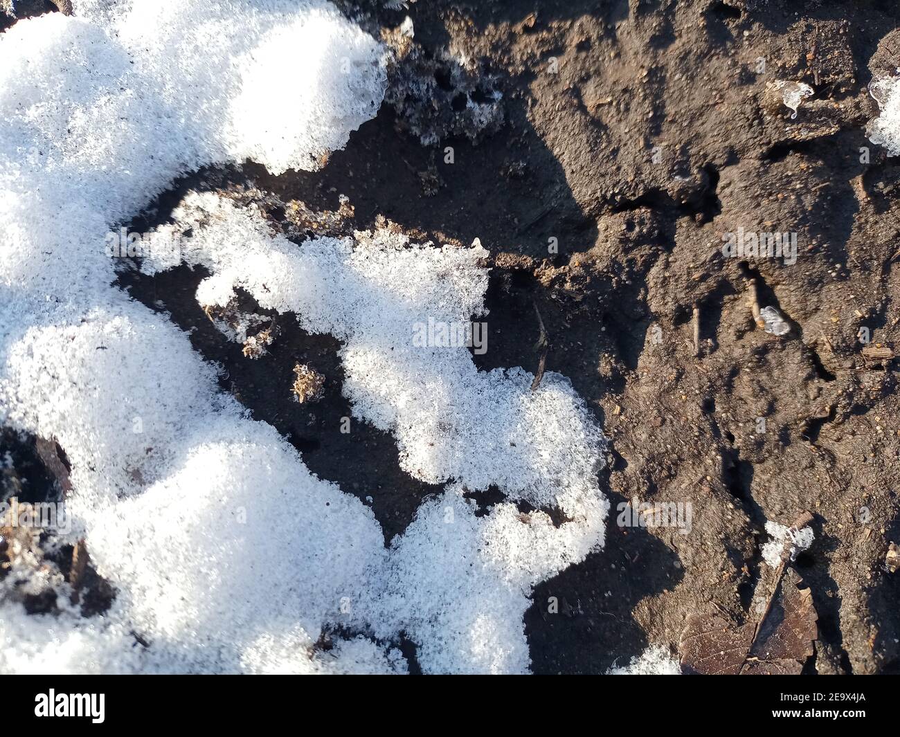 Macro melt snow blue background hi-res stock photography and images - Alamy