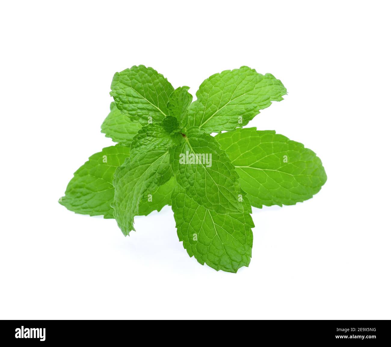 Mint leaves isolated on white background Stock Photo - Alamy