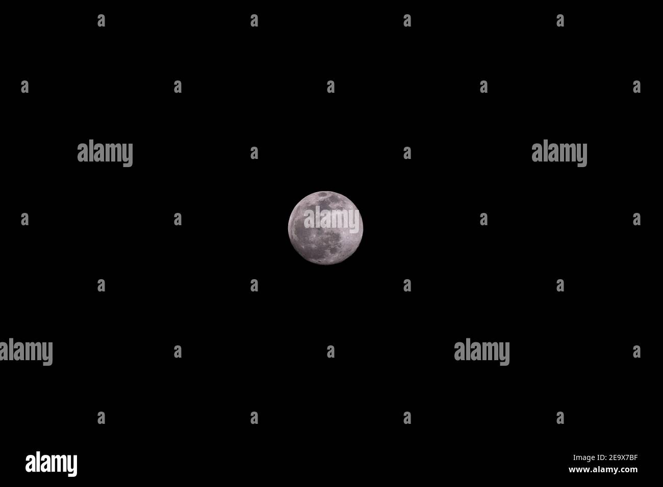 luna llena de febrero Stock Photo Alamy
