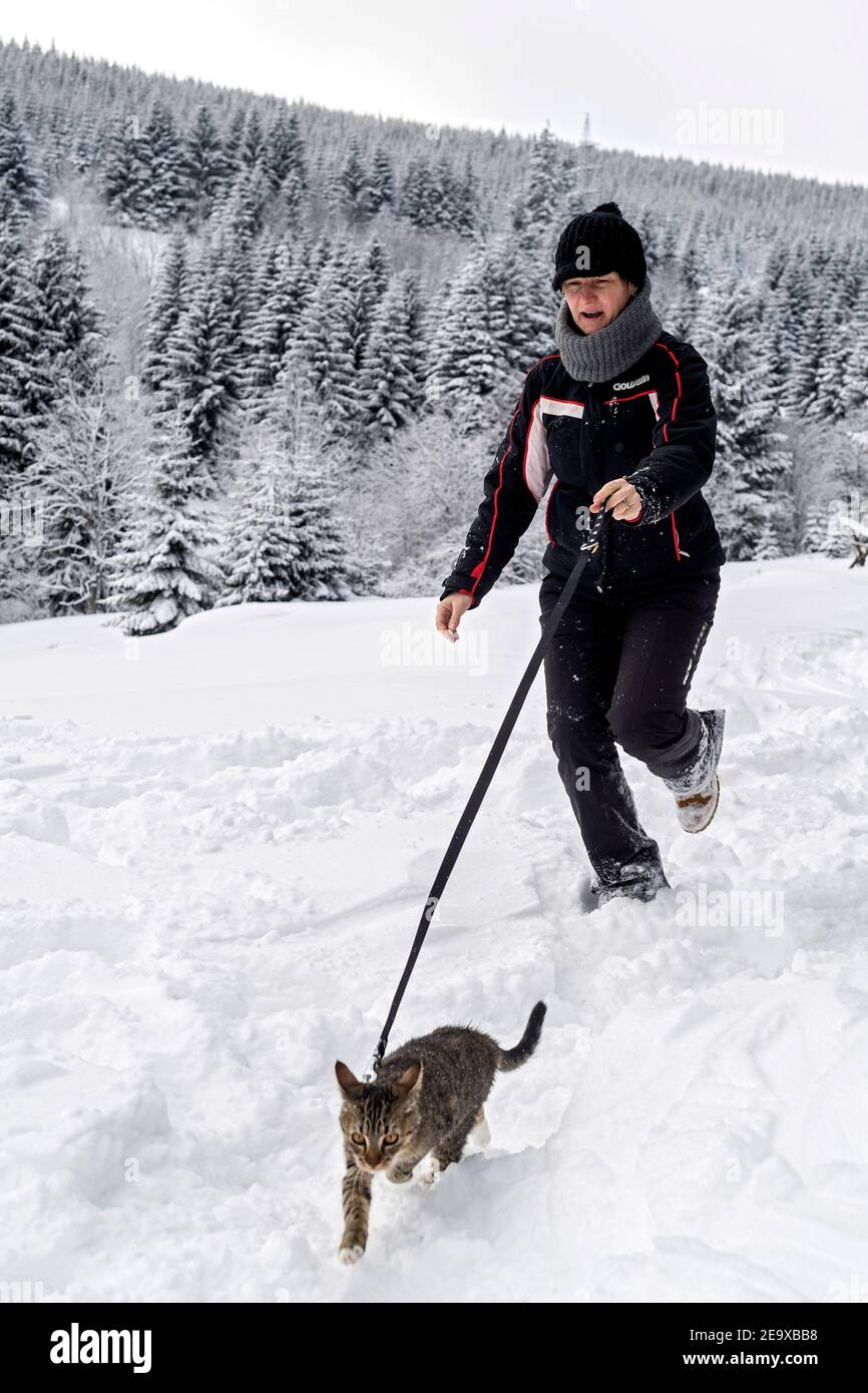 woman in snowy countryside walks the domestic tabby cat on a leash Stock Photo