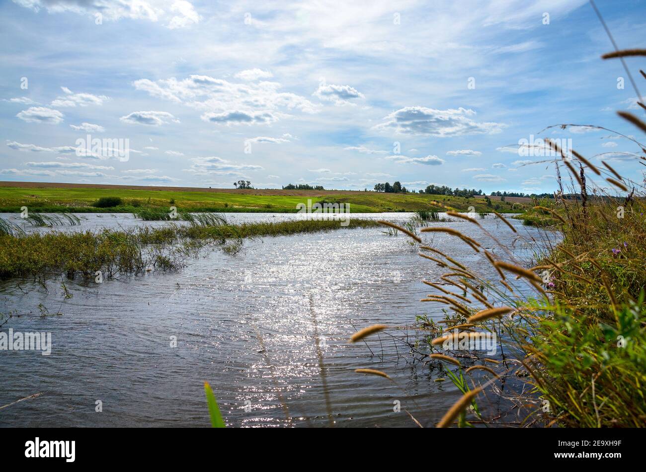 Spring sunny landscape river hi-res stock photography and images - Alamy