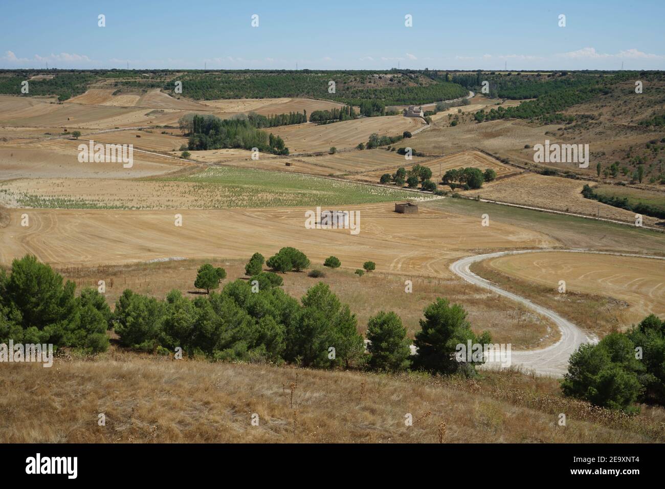 summer land of fields in spain Stock Photo - Alamy