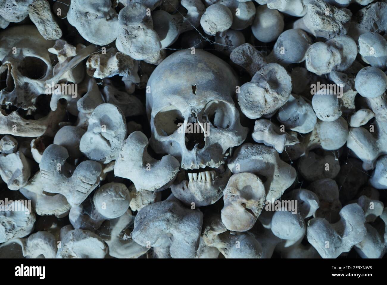 set of bones with skull Stock Photo