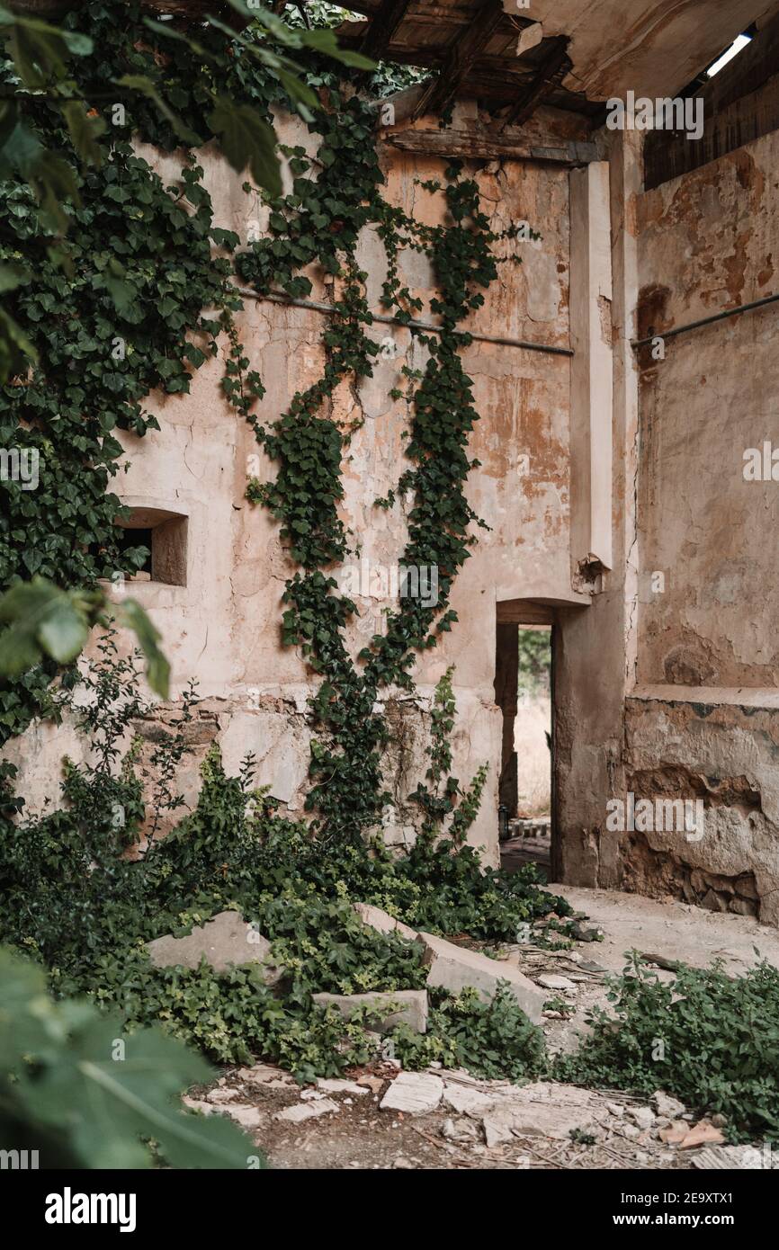 Derelict building overgrown plants hi-res stock photography and images ...