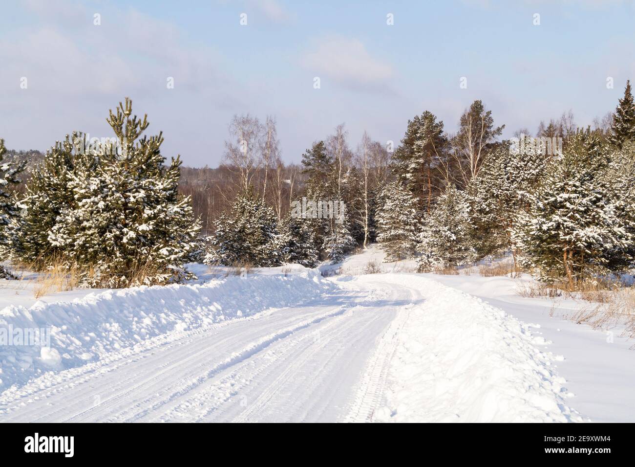 The Winter landscape with wood on background sky with cloud. Beautiful nature at solar day in Russia Stock Photo