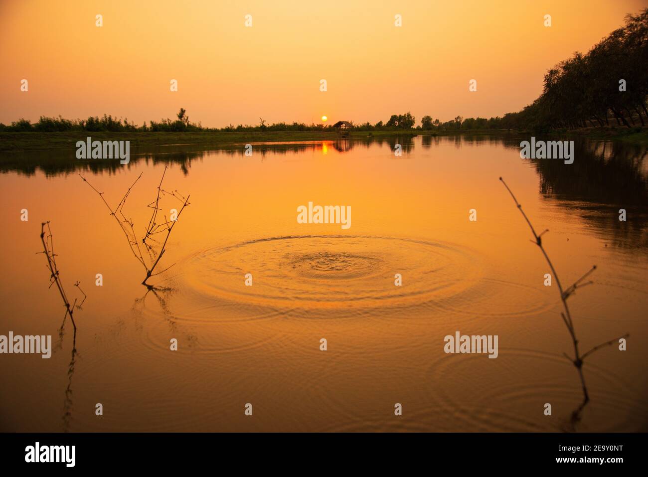 Sunset on the Batiaghata,Khulna, Bangladesh Stock Photo - Alamy